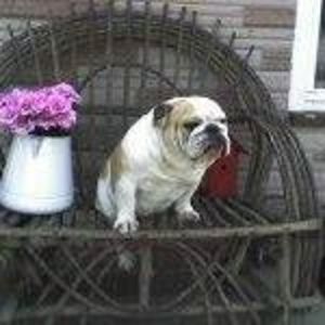 Meet your Posher, Merrie